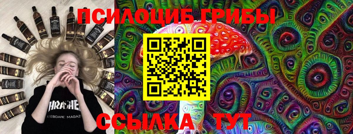 Галлюциногенные грибы Psilocybine cubensis Кимовск