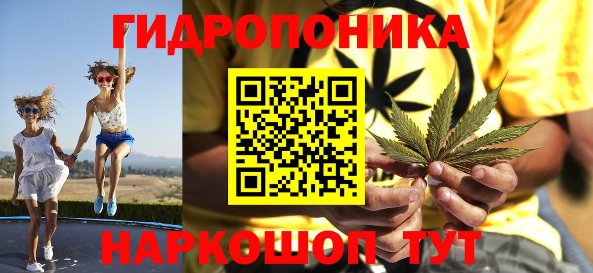 Каннабис конопля Кимовск